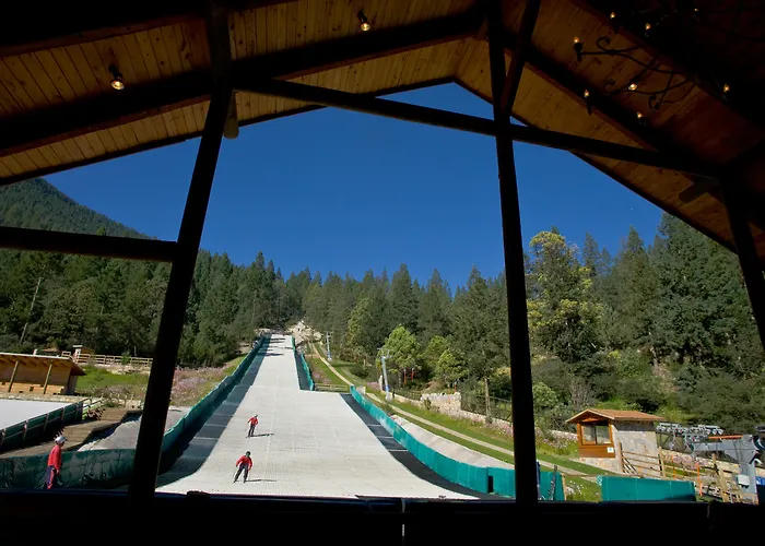 Bosques De Monterreal